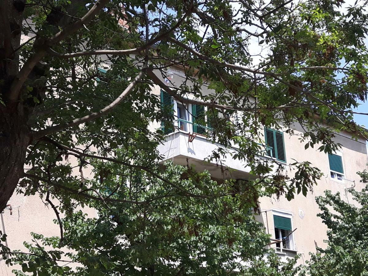Apartment Sunny Place Zadar Extérieur photo